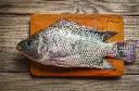 Tilapia Fish Image .webp