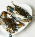 Blue crab.webp